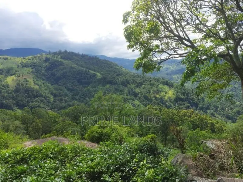 Land for Sale in Nillamba