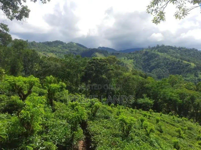 Land for Sale in Nillamba