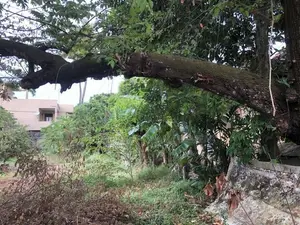 Valuable 17-Perch Prime Land for Sale in Nugegoda