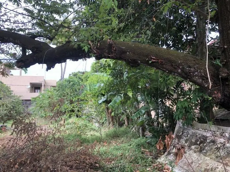 Valuable 17-Perch Prime Land for Sale in Nugegoda