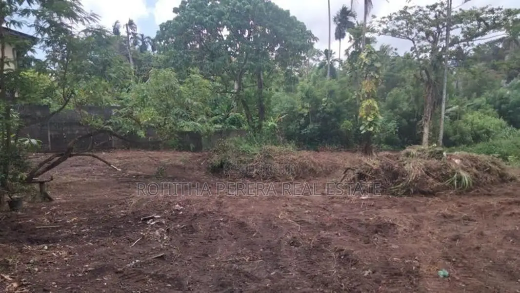 12Perc X 2 Blocks Of Residential land-Piliyandala