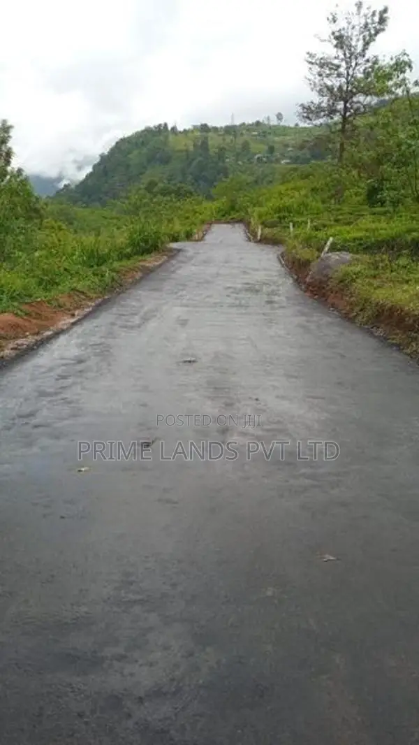 Beautiful Land in Pudaluoya