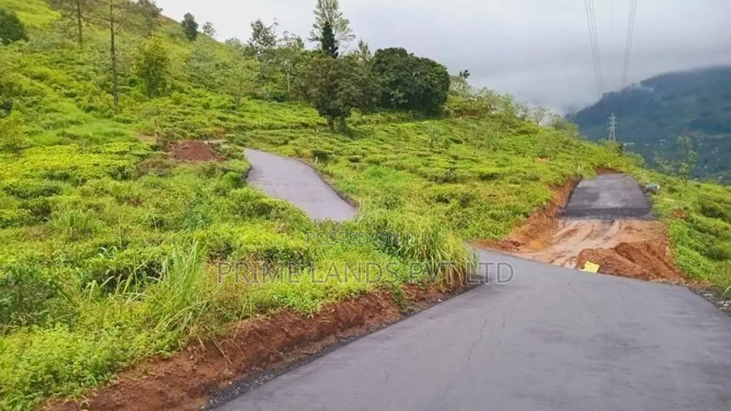 Beautiful Land in Pudaluoya