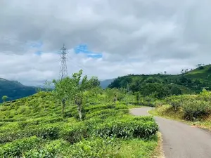 Beautiful Land in Pudaluoya