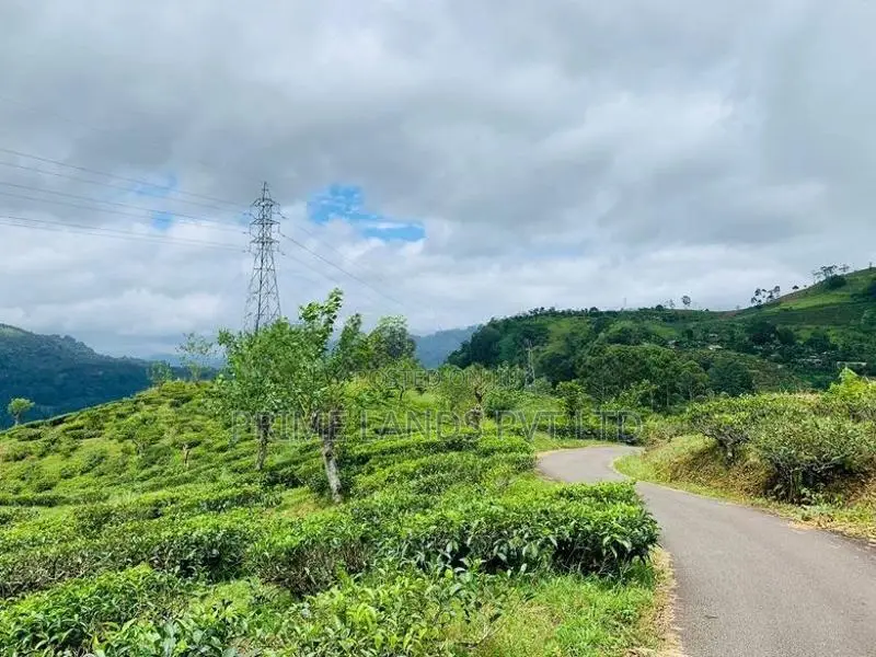 Beautiful Land in Pudaluoya