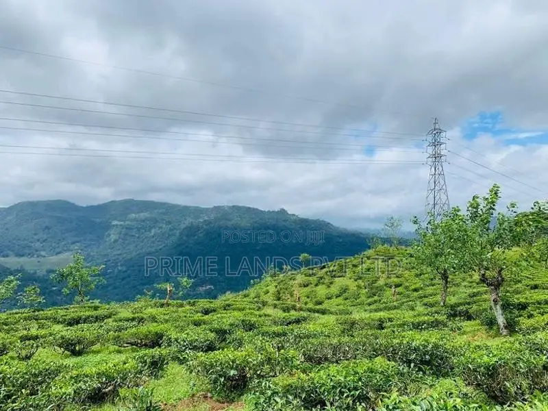 Beautiful Land in Pudaluoya
