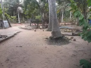 ඉඩම විකිණීමට තලවිල