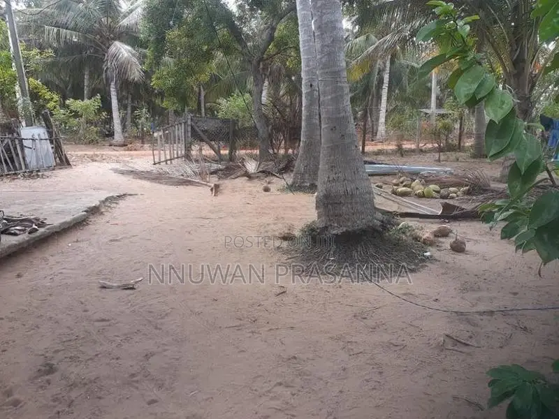 ඉඩම විකිණීමට තලවිල