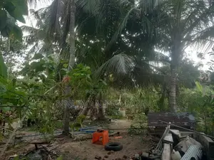 ඉඩම විකිණීමට තලවිල