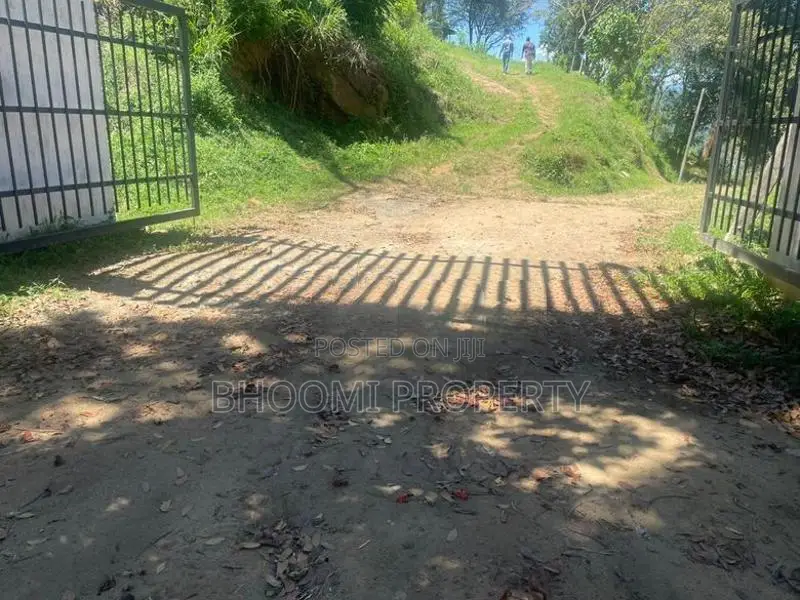 Land for Sale in Digana