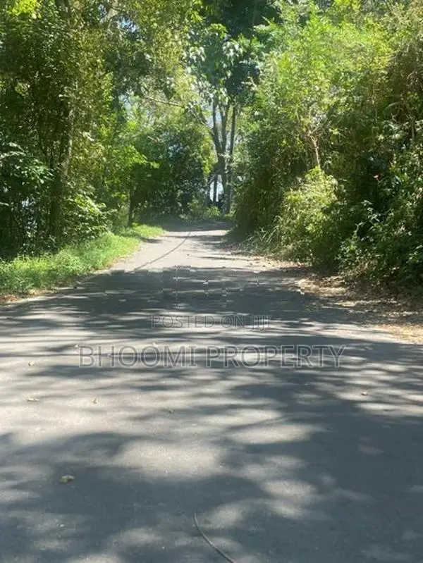 Land for Sale in Digana