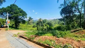 Land for Sale in Palapathwala