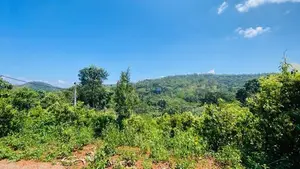 Land for Sale in Palapathwala