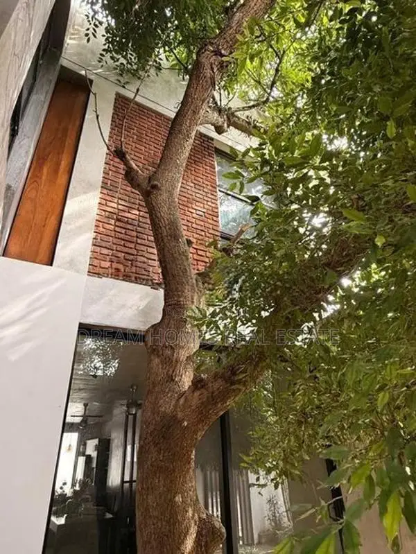 Two Houses on One Property for Sale – Maharagama
