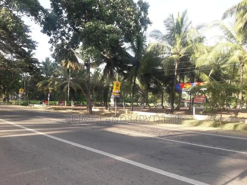 ව්‍යාපාරික බිම් කොටසක් විකිනීමට අඹගස්වැව