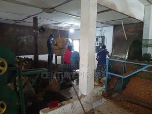 Coco Chip Factory for sale in Minuwangoda