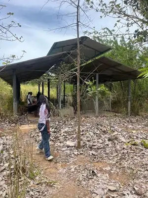 වගාවක් සහිත ඉඩමක් - කුබුක්කන හන්දිය