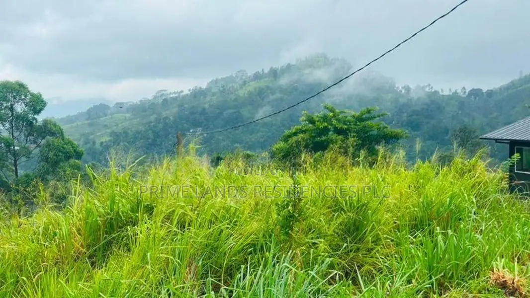Lands for Sale in Pussellawa