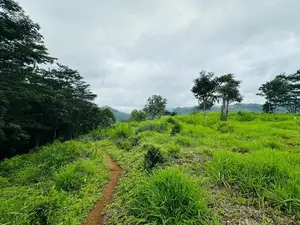 Lands for Sale in Pussellawa