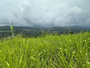Lands for Sale in Pussellawa