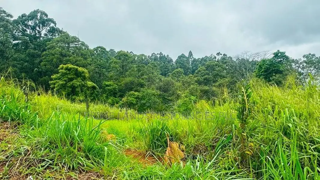 Lands for Sale in Pussellawa
