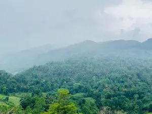 Lands for Sale in Nillamba
