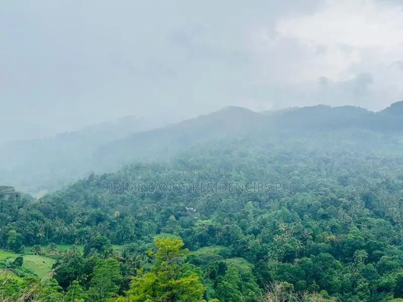 Lands for Sale in Nillamba