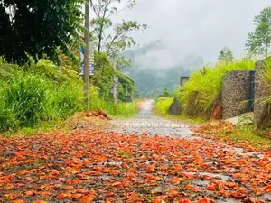 Lands for Sale in Pussellawa