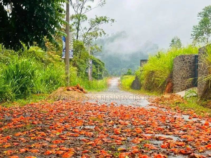 Lands for Sale in Pussellawa