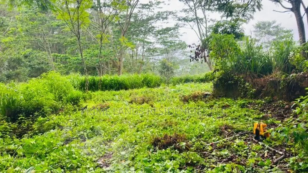Lands for Sale in Pussellawa