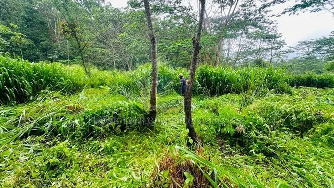Lands for Sale in Pussellawa