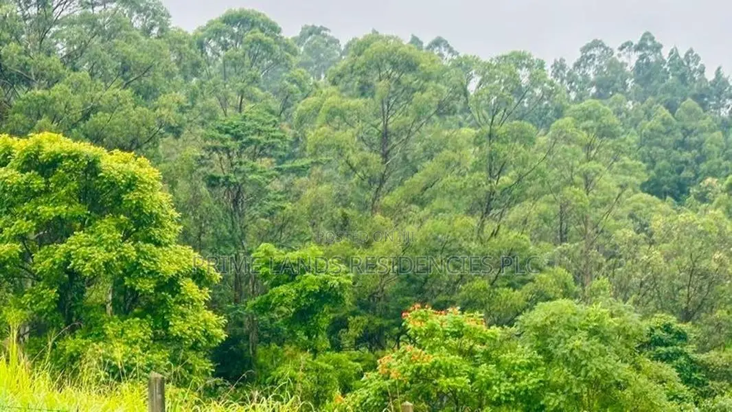 Lands for Sale in Pussellawa