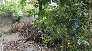 Boralesgamuwa | Valuable Land for Sale