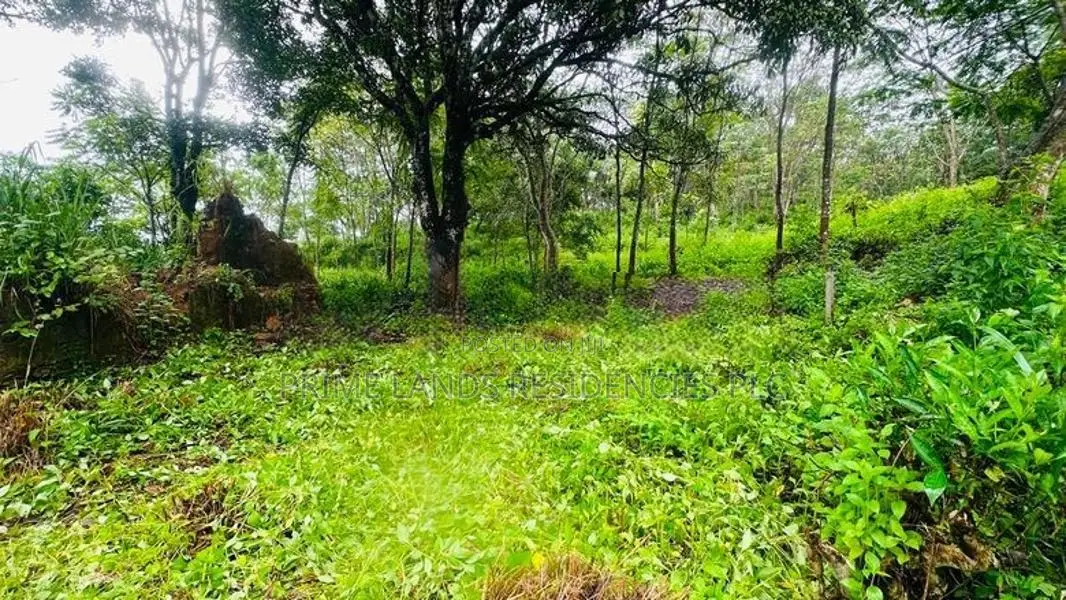 Lands for Sale in Pussellawa