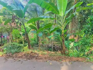 Land for Sale in Nittambuwa SA 16270
