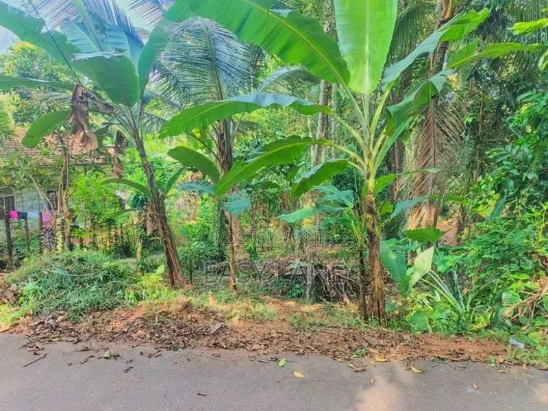 Land for Sale in Nittambuwa SA 16270