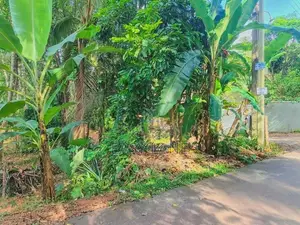 Land for Sale in Nittambuwa SA 16270