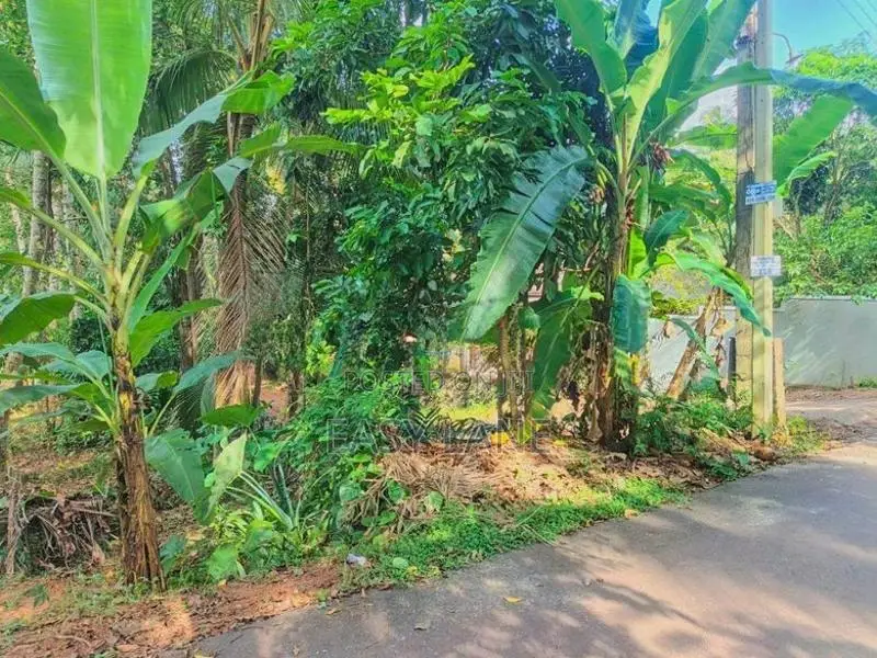 Land for Sale in Nittambuwa SA 16270