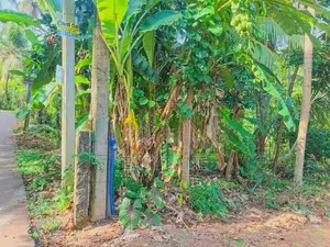 Land for Sale in Nittambuwa SA 16270