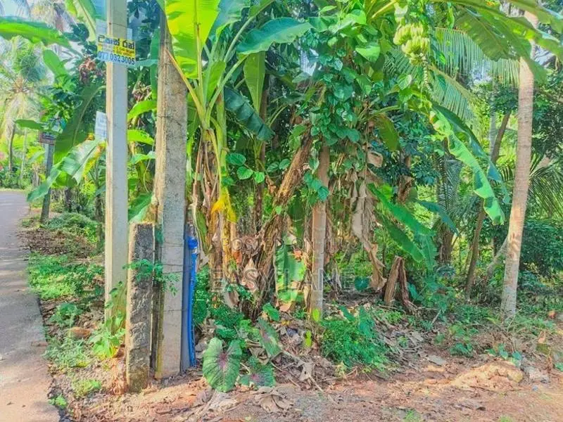 Land for Sale in Nittambuwa SA 16270