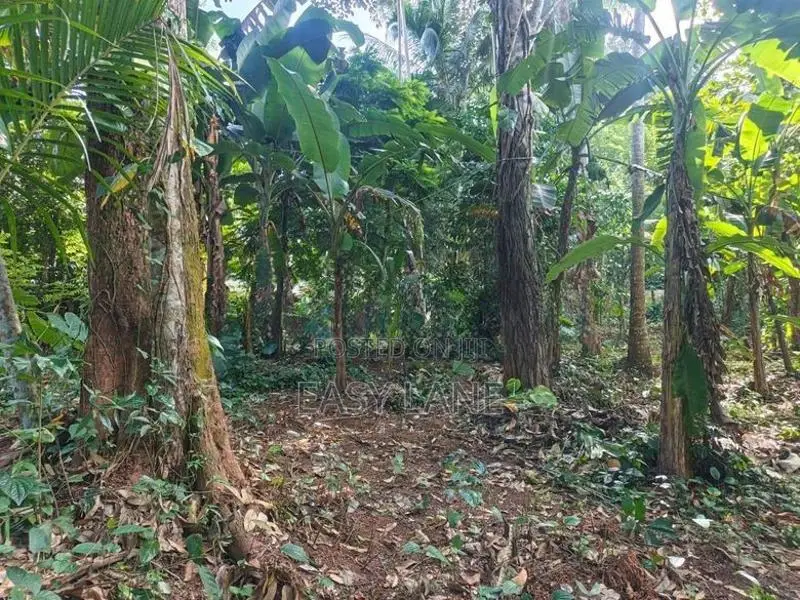 Land for Sale in Nittambuwa SA 16270