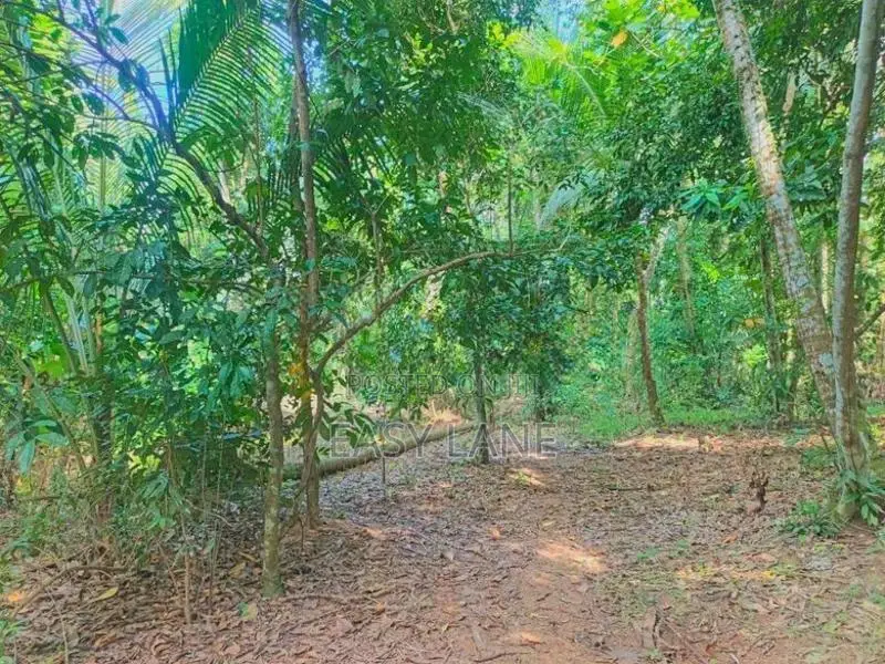 Land for Sale in Nittambuwa SA 16270