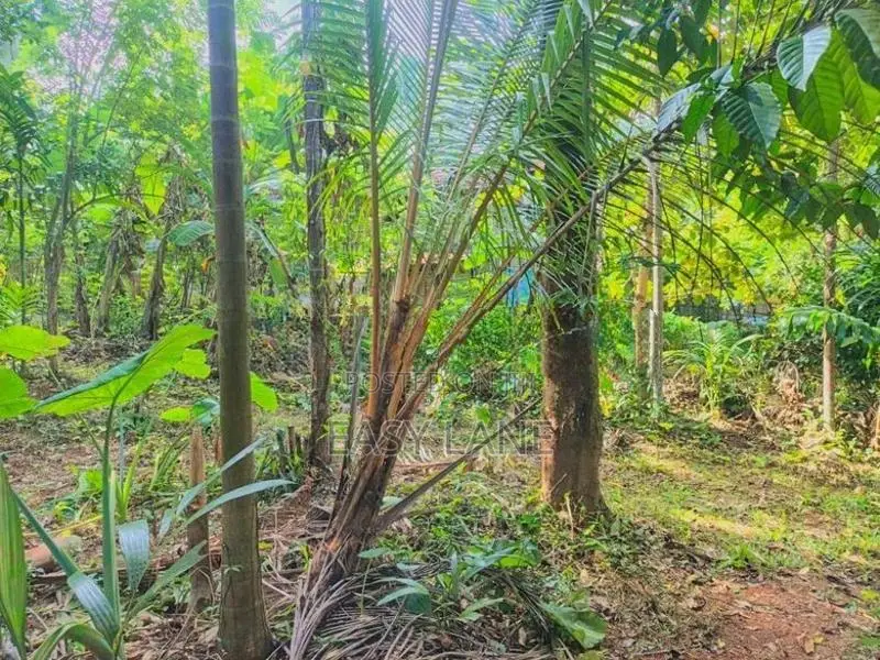 Land for Sale in Nittambuwa SA 16270