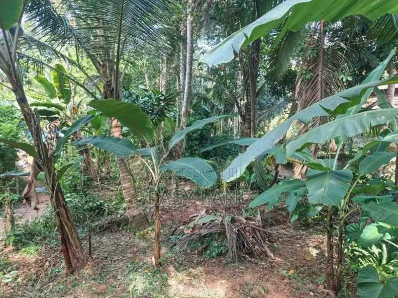 Land for Sale in Nittambuwa SA 16270