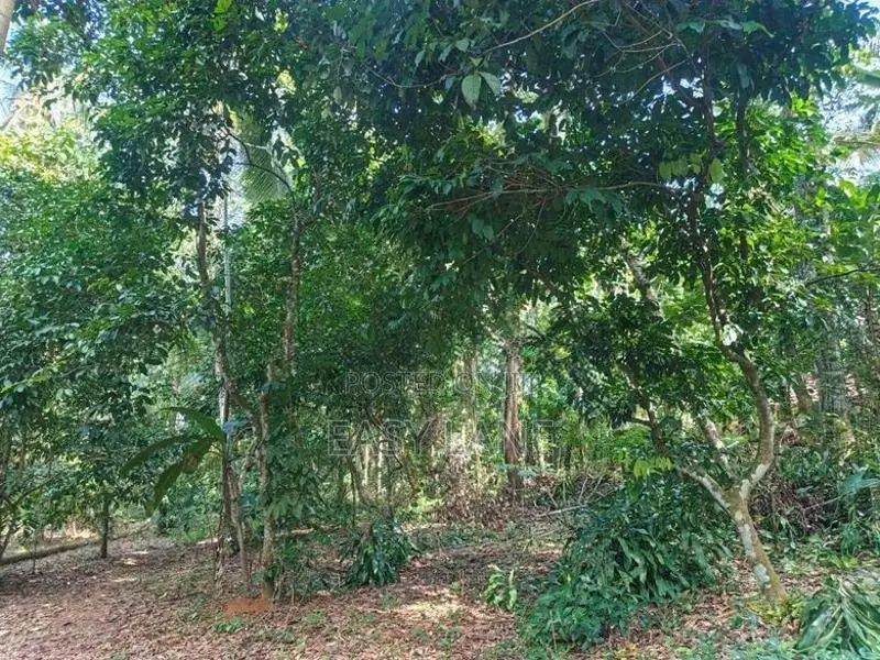 Land for Sale in Nittambuwa SA 16270