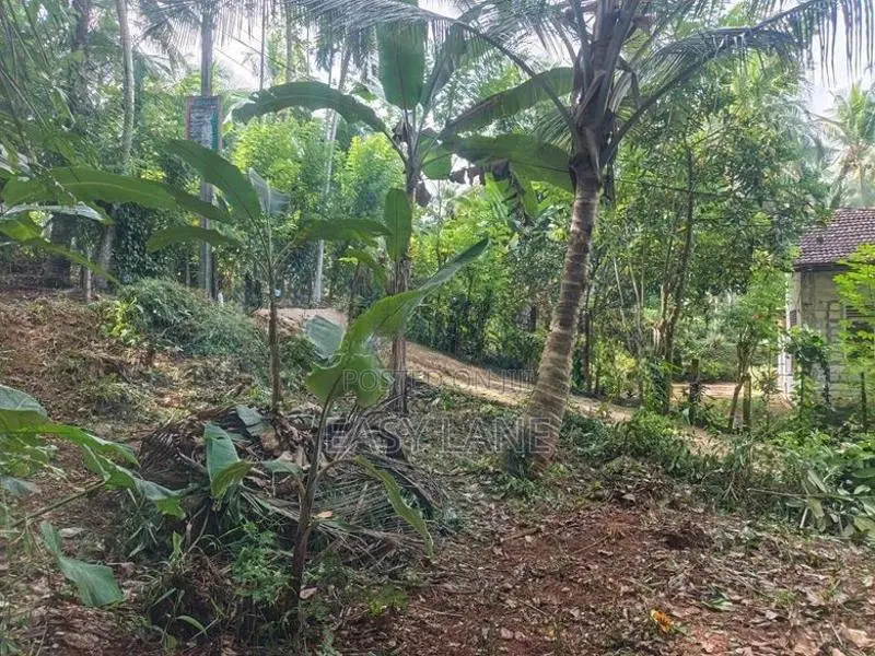 Land for Sale in Nittambuwa SA 16270