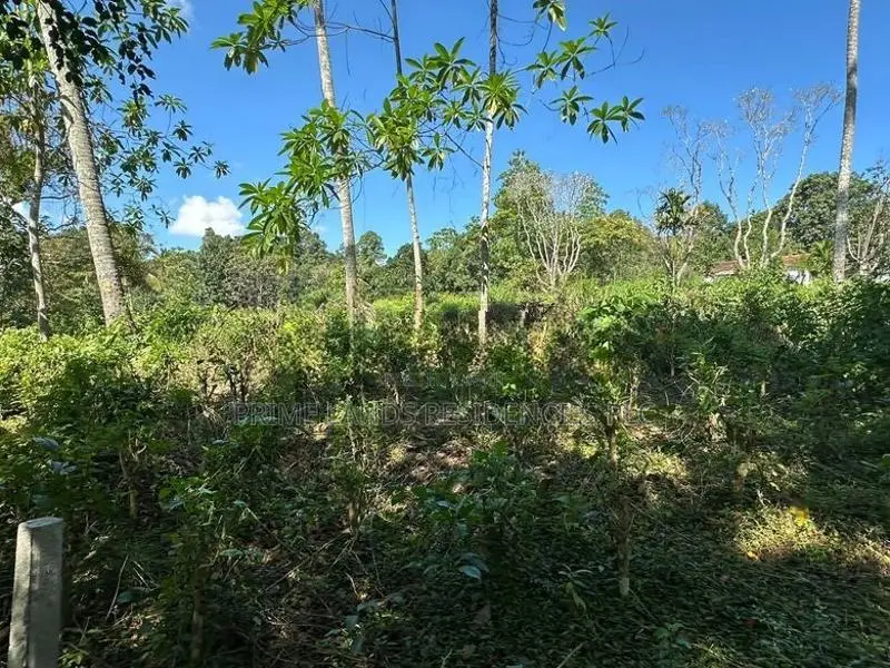 Lands for Sale in Gelioya Pethiyagoda