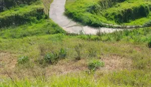Lands for Sale in Ambewela