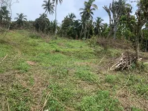 Lands for Sale in Gelioya Pethiyagoda