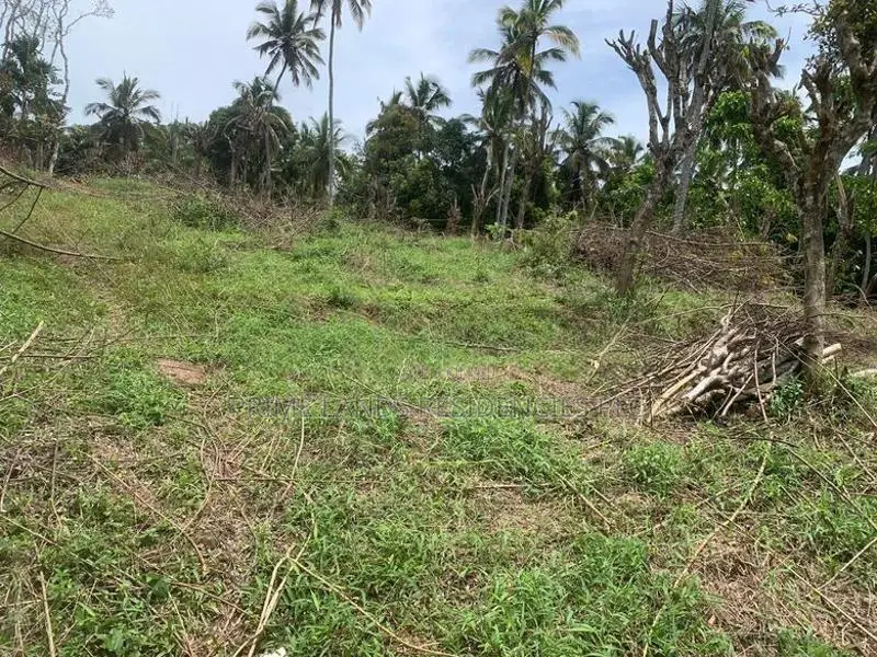 Lands for Sale in Gelioya Pethiyagoda